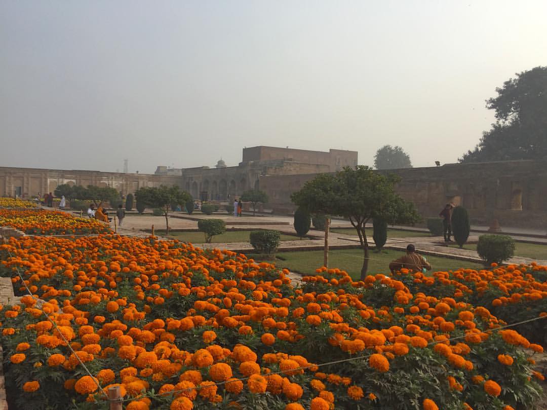 Lahore Fort 2.jpg